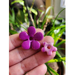 Flora charms duo XXL et mini