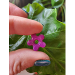 Mini flora charms