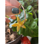 Flora charms XXL fleur de frangipanier