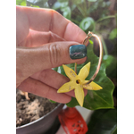 Flora charms frangipaner