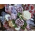 bougie-fete-des-meres-ourson-fleurs