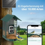 81wdr5sToKL._AC_SL1500_