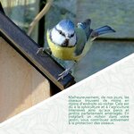 91ANjQINXEL._AC_SL1500_