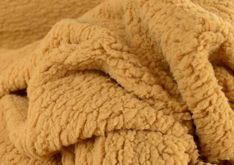 sherpa camel