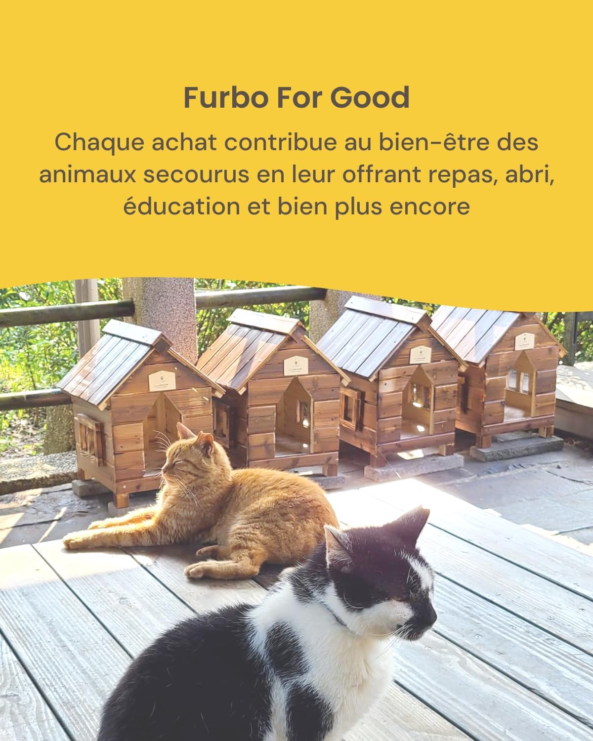 Caméra pour chat Furbo 360° avec lance-friandises, vue 8
