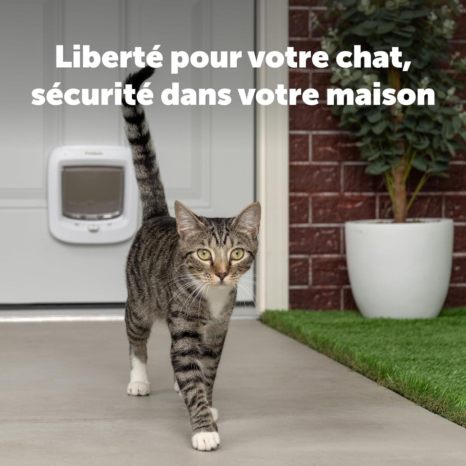 Chatière électronique à puce PetSafe Microchip blanche, vue 2