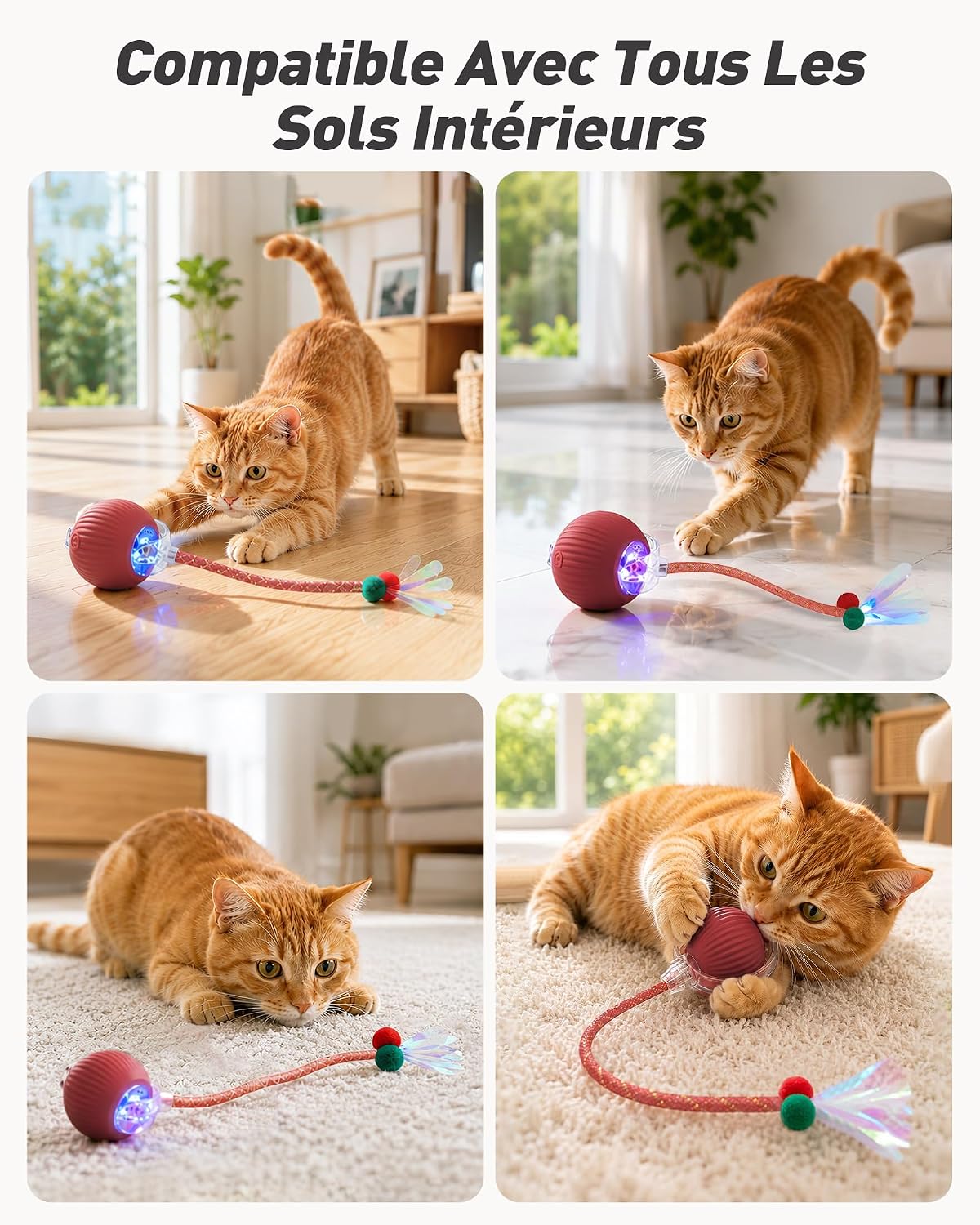Balle électrique interactive rouge pour chat avec sa queue, vue 8