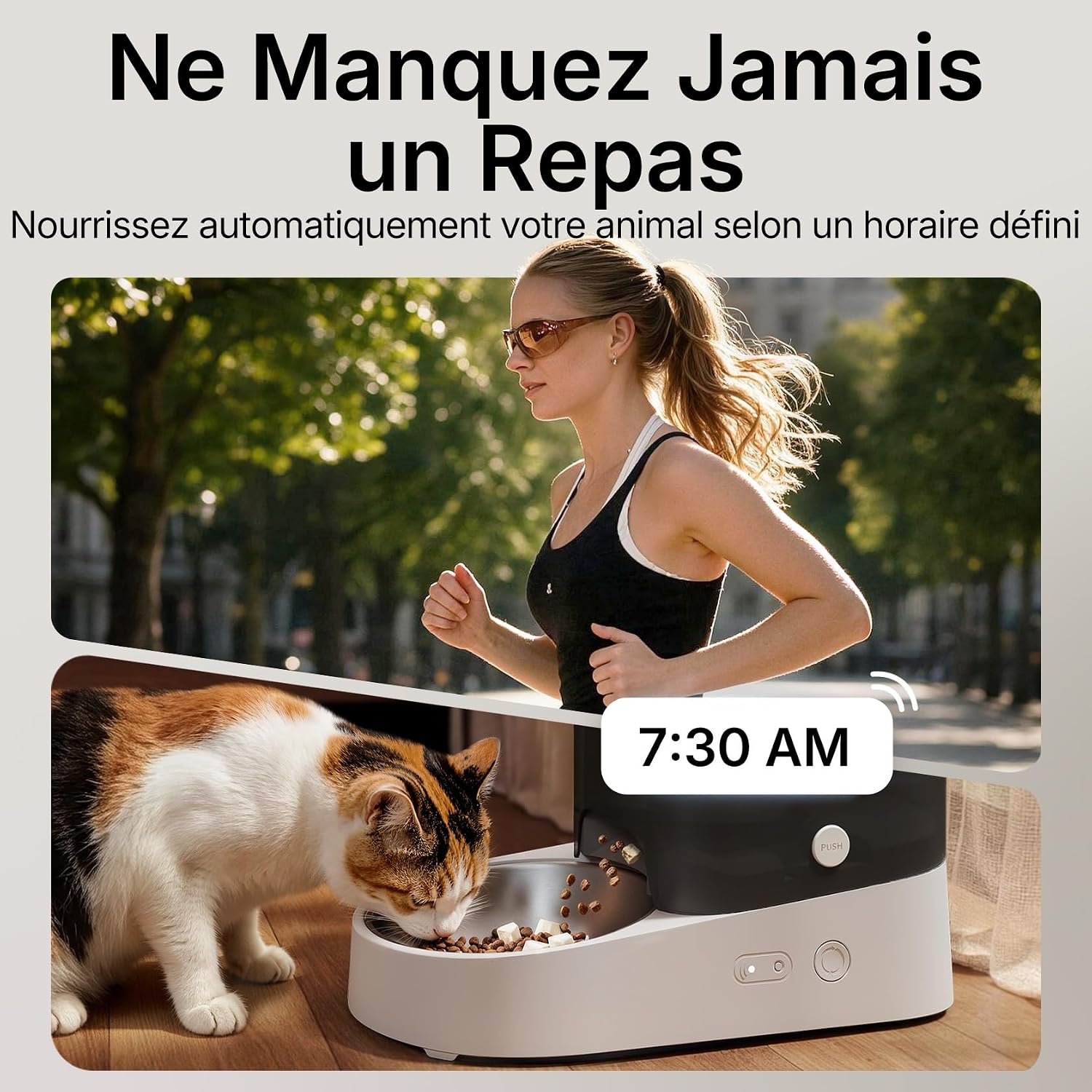 Distributeur de croquettes PETKIT Fresh Element Solo gris clair avec gamelle inox, vue 2