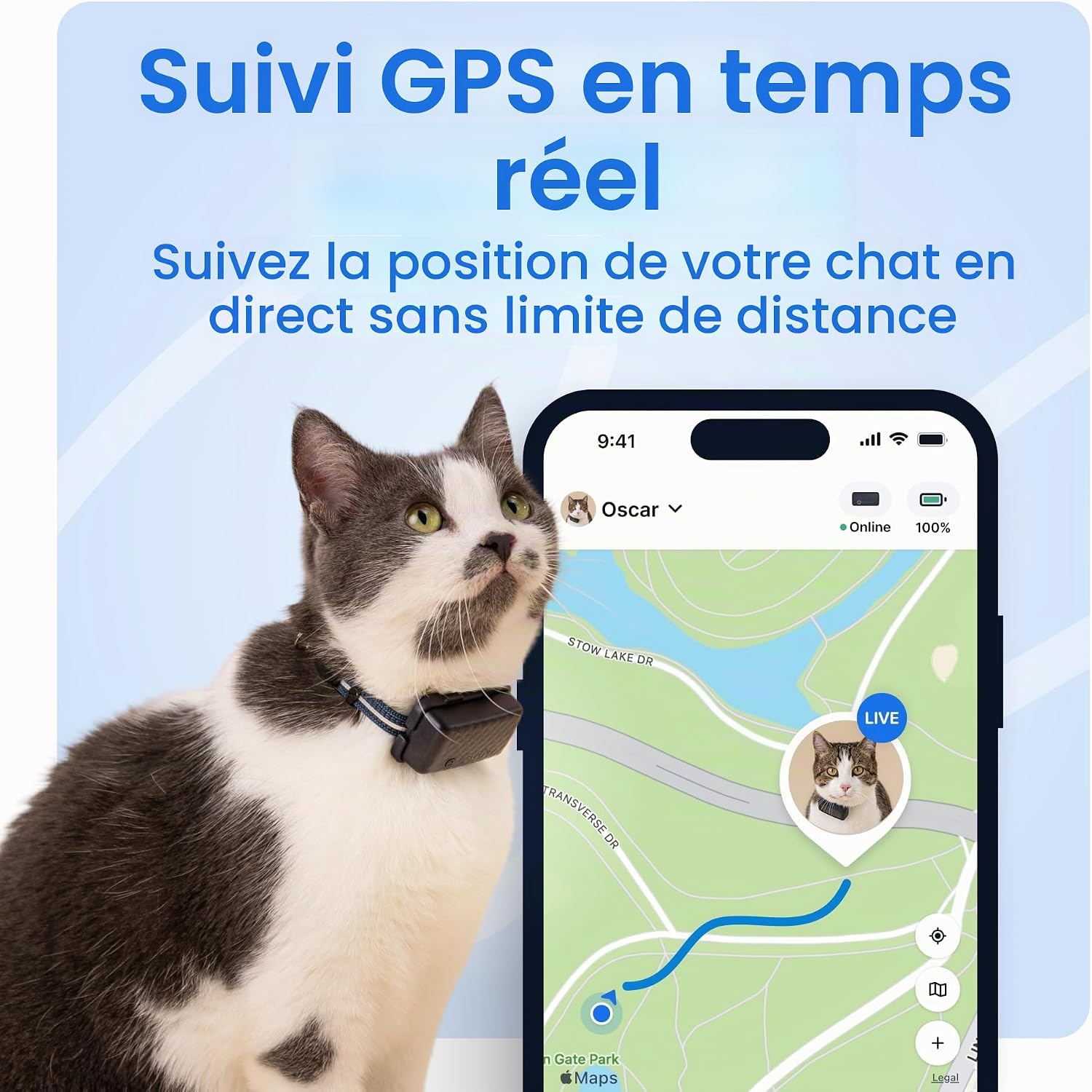 Traceur GPS pour chat Tractive marron avec son collier, vue 2