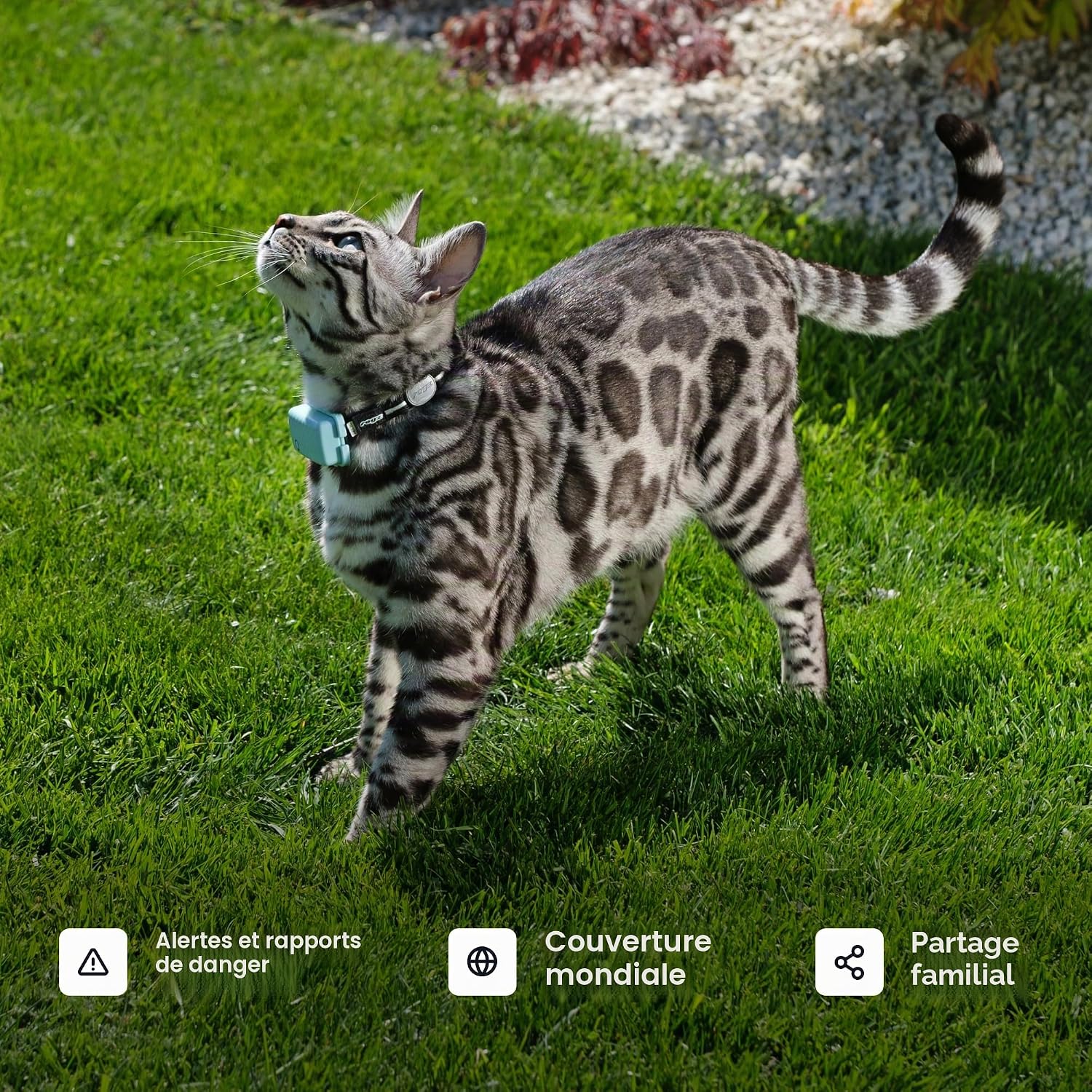 Traceur GPS pour chat Tractive marron avec son collier, vue 8