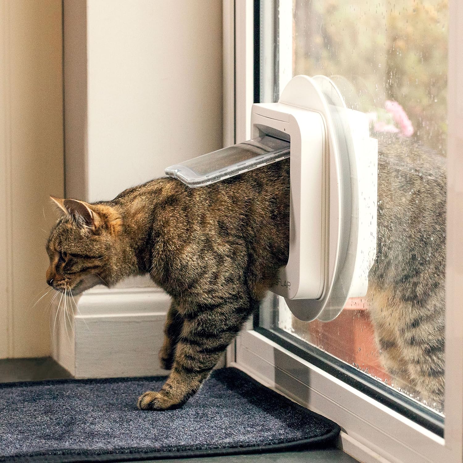 Chatière à puce électronique SureFlap marron, vue 2