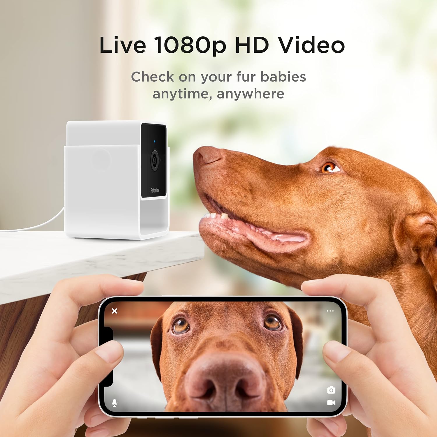 Caméra pour chat Petcube Cam blanche, vue 6