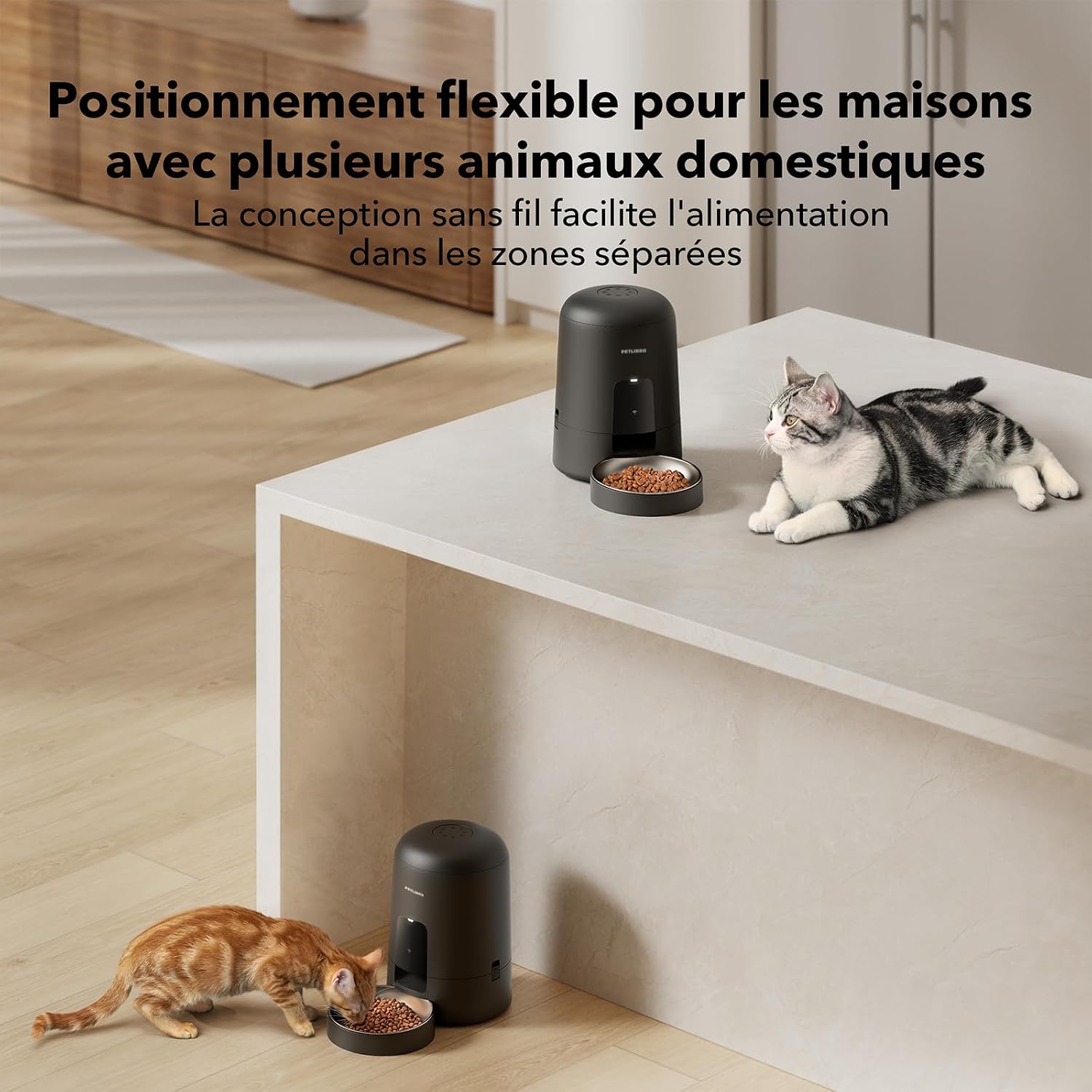 Distributeur de croquettes PETLIBRO Air noir avec gamelle en inox, vue 5
