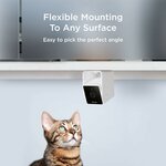 Caméra pour chat Petcube Cam blanche, vue 9