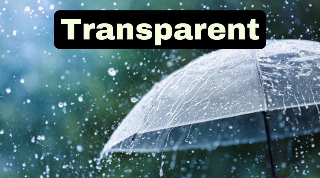 Parapluie inversé transparent