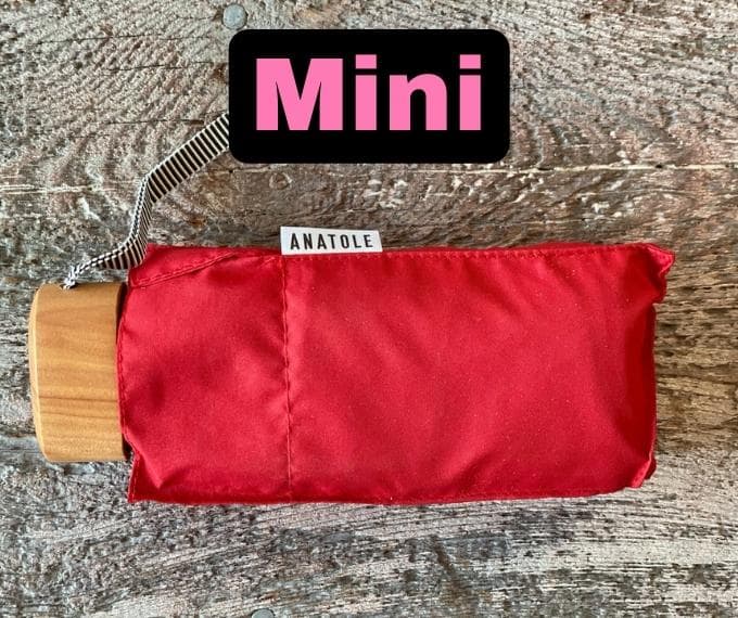 mini parapluie inversê