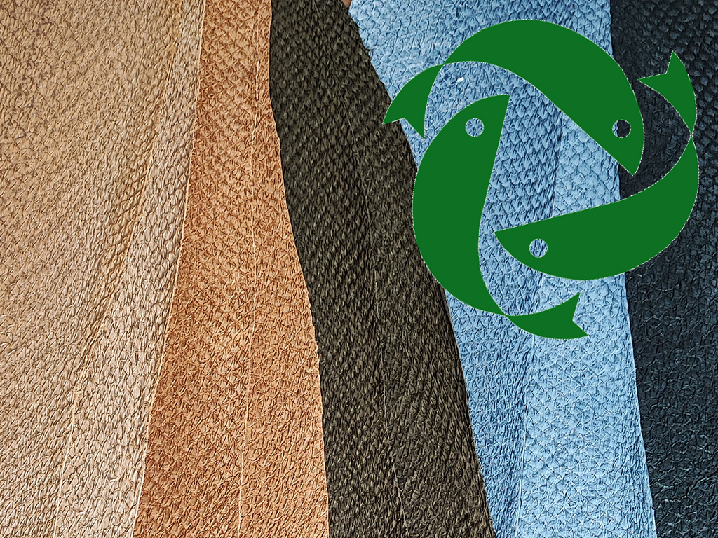 logoeco