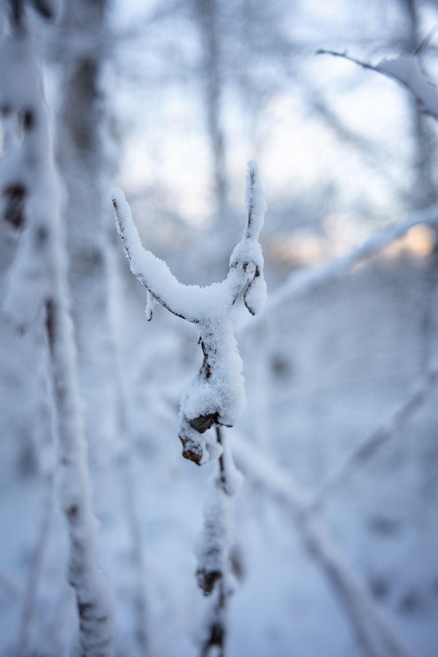 Pierres de naissance hiver : décembre, janvier et février