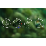 PICTO_BROCHES_HF