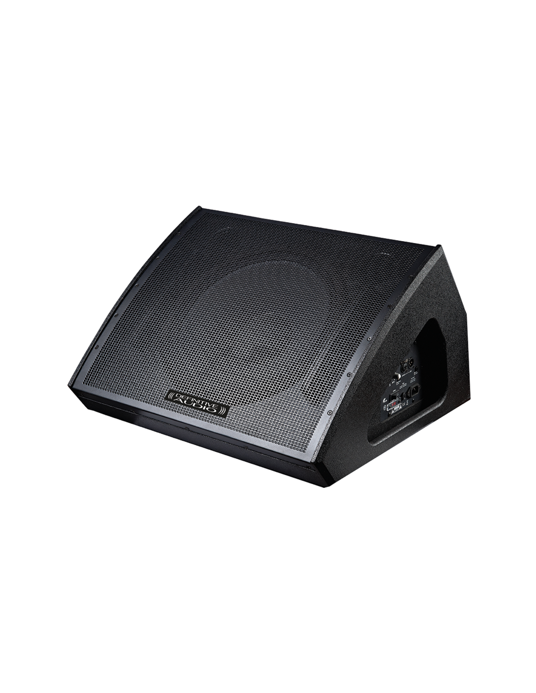 RETOUR DE SCENE 700W BOIS DEFINTIVE AUDIO KOALA15AWMO