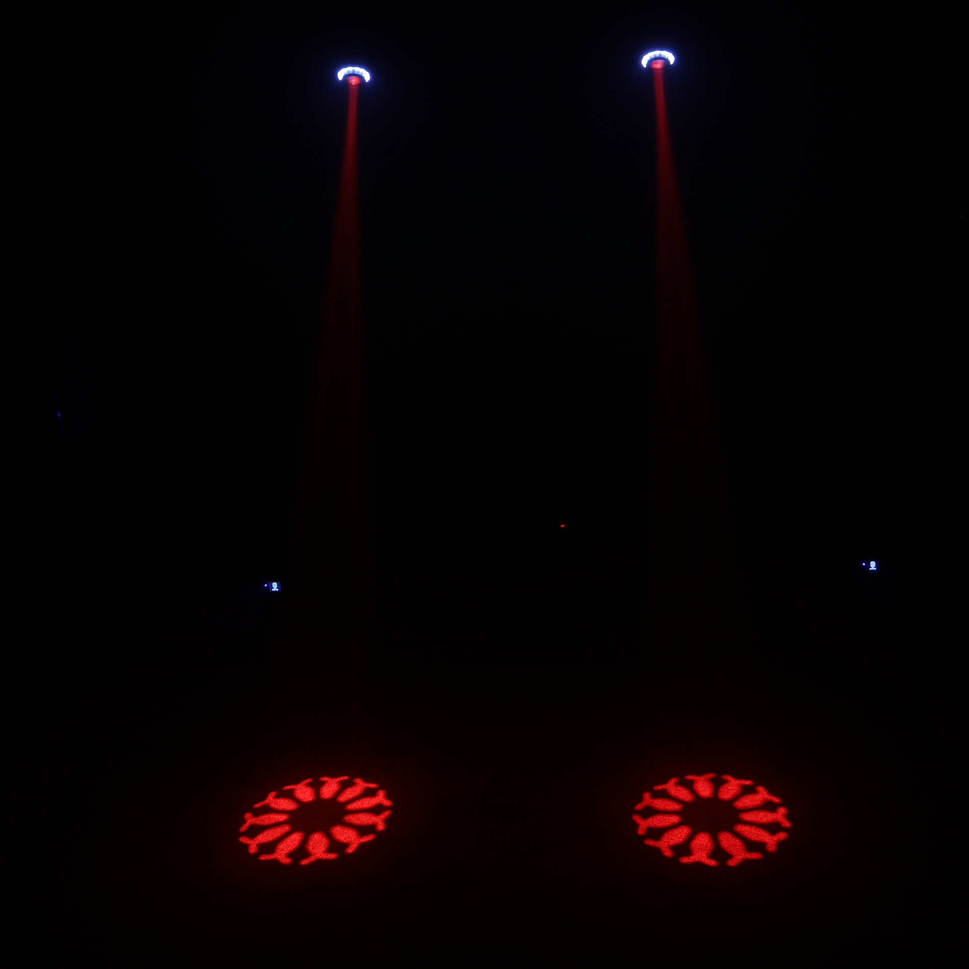 32726-ZANZI-BAR-FX4