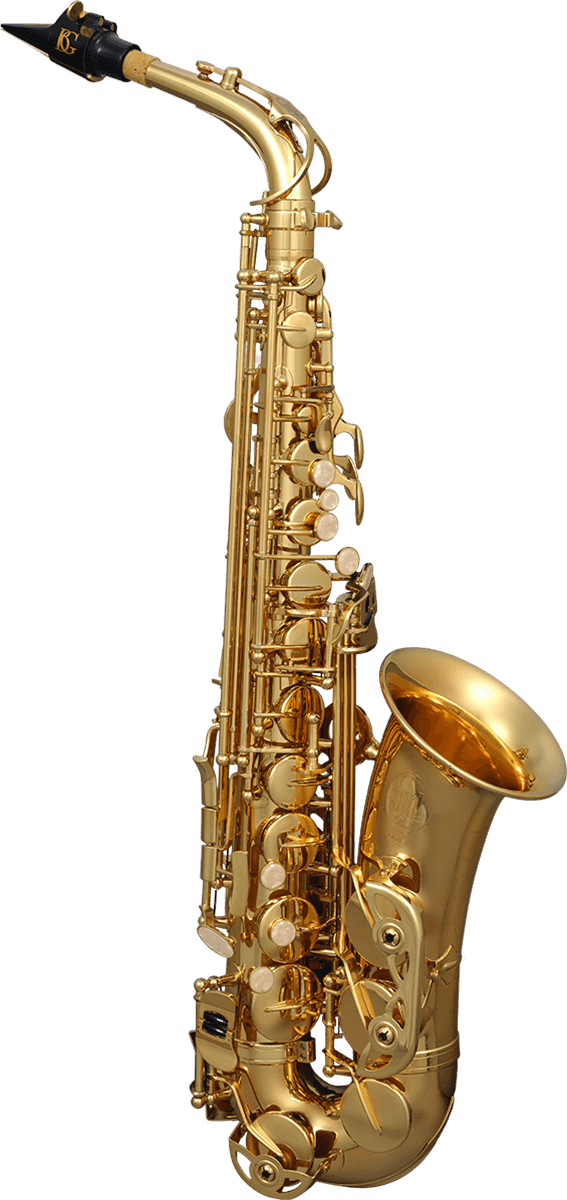 SAXOPHONE ALTO MIB LAITON VERNIS AVEC LIGATURE, ÉTUI, COUVRE-BEC, BEC, CORDON, KIT D\'ACCESSOIRES BG