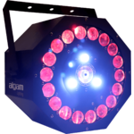 SUNFLOWER-B