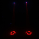 32726-ZANZI-BAR-FX4