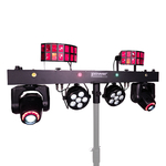 32739-ZANZI-BAR-FX4