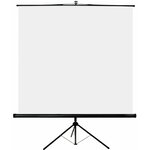 ECRAN-ORAY--BYRON-2--200X200--TRE02B1200200 (1)