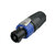 626-NL4FX-2020