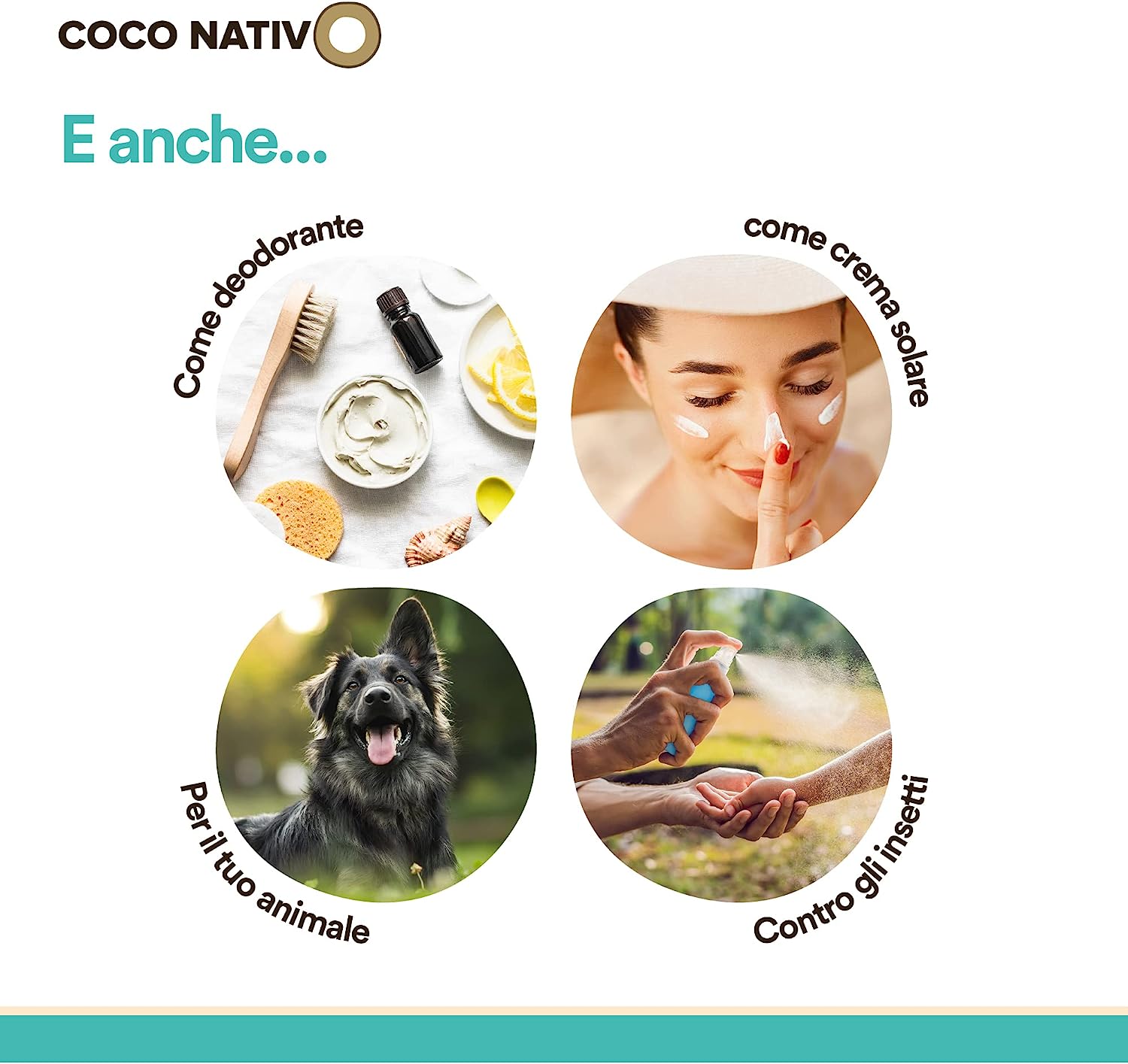 71YbgiDmk7L._AC_SL1500_
