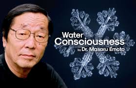 Masuru_emoto_480x480