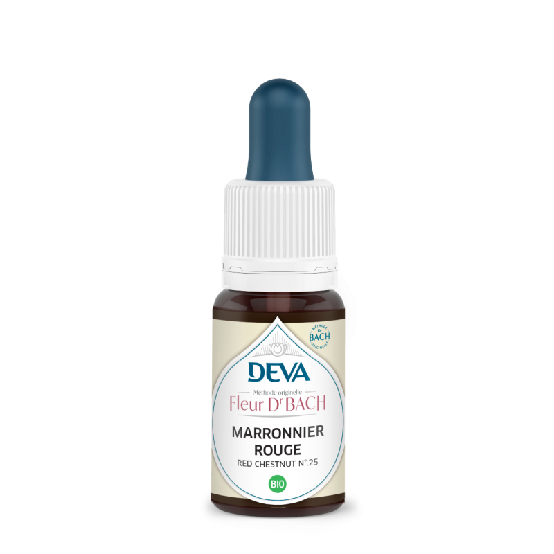 marronnier-rouge-red-chestnut - Fleur de Bach - Deva - 15ml