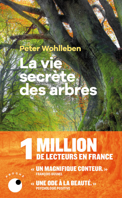 la vie secrete des arbres - Peter wolhleben - Livre