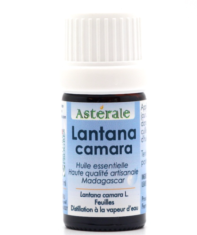 lantana camara - Huile essentielle - Qualité - Astérale