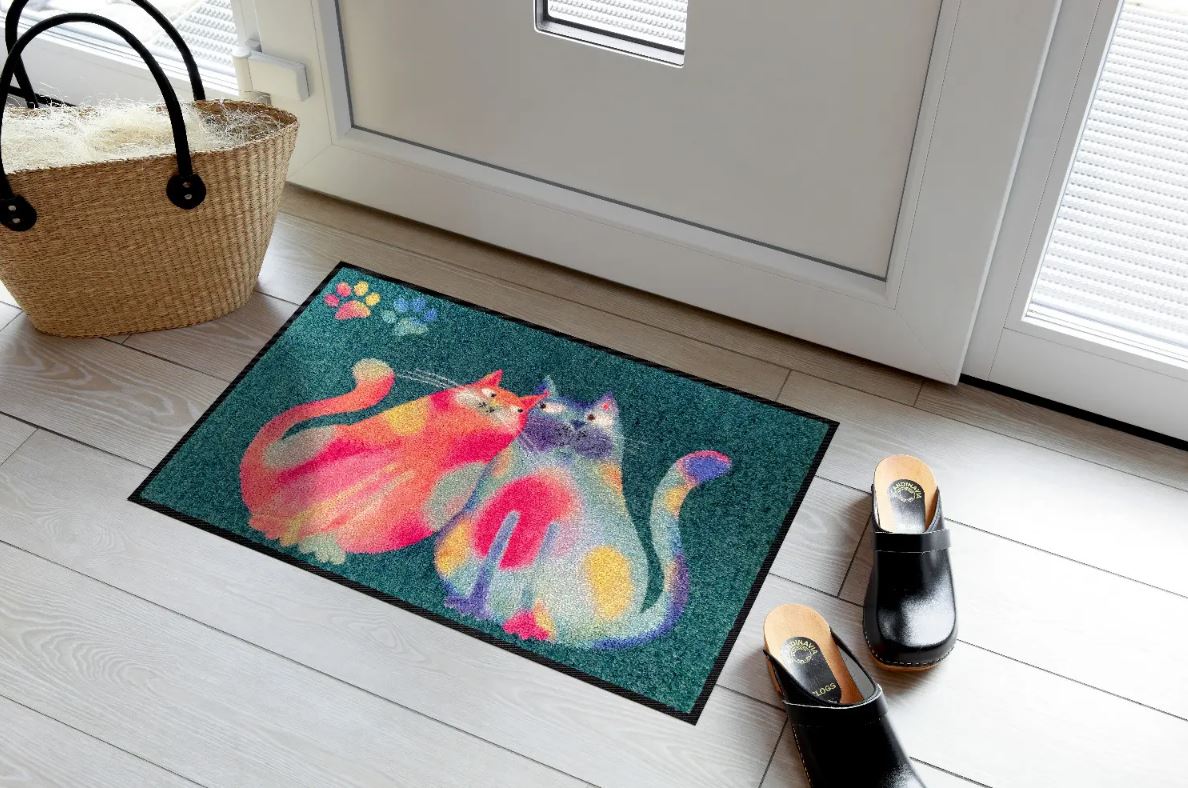 Rainbow cats