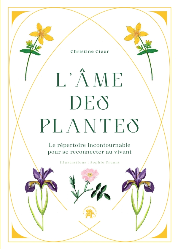 lâme des plantes