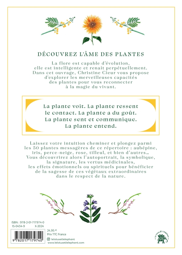 lâme des plantes verso