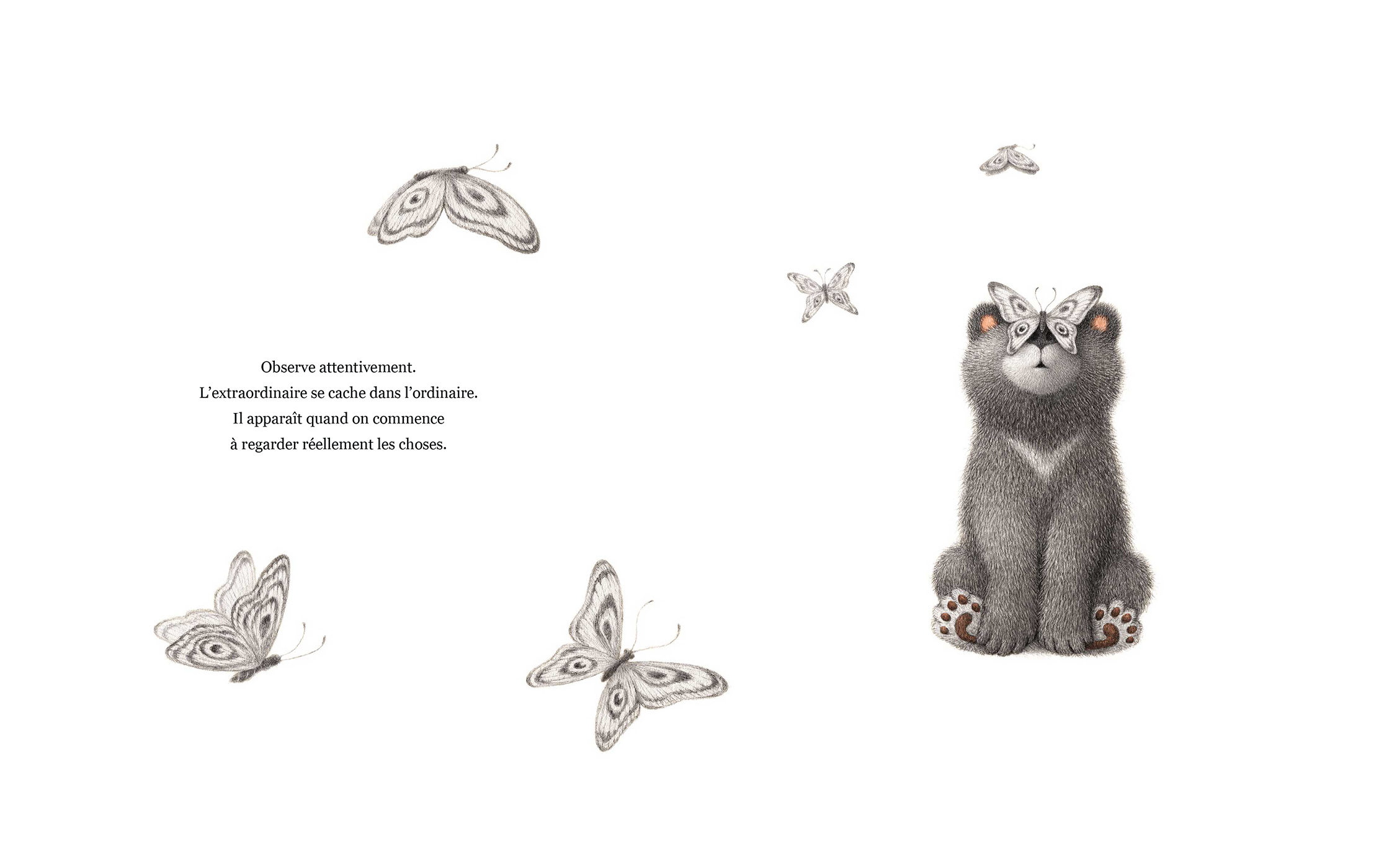 semerveiller page