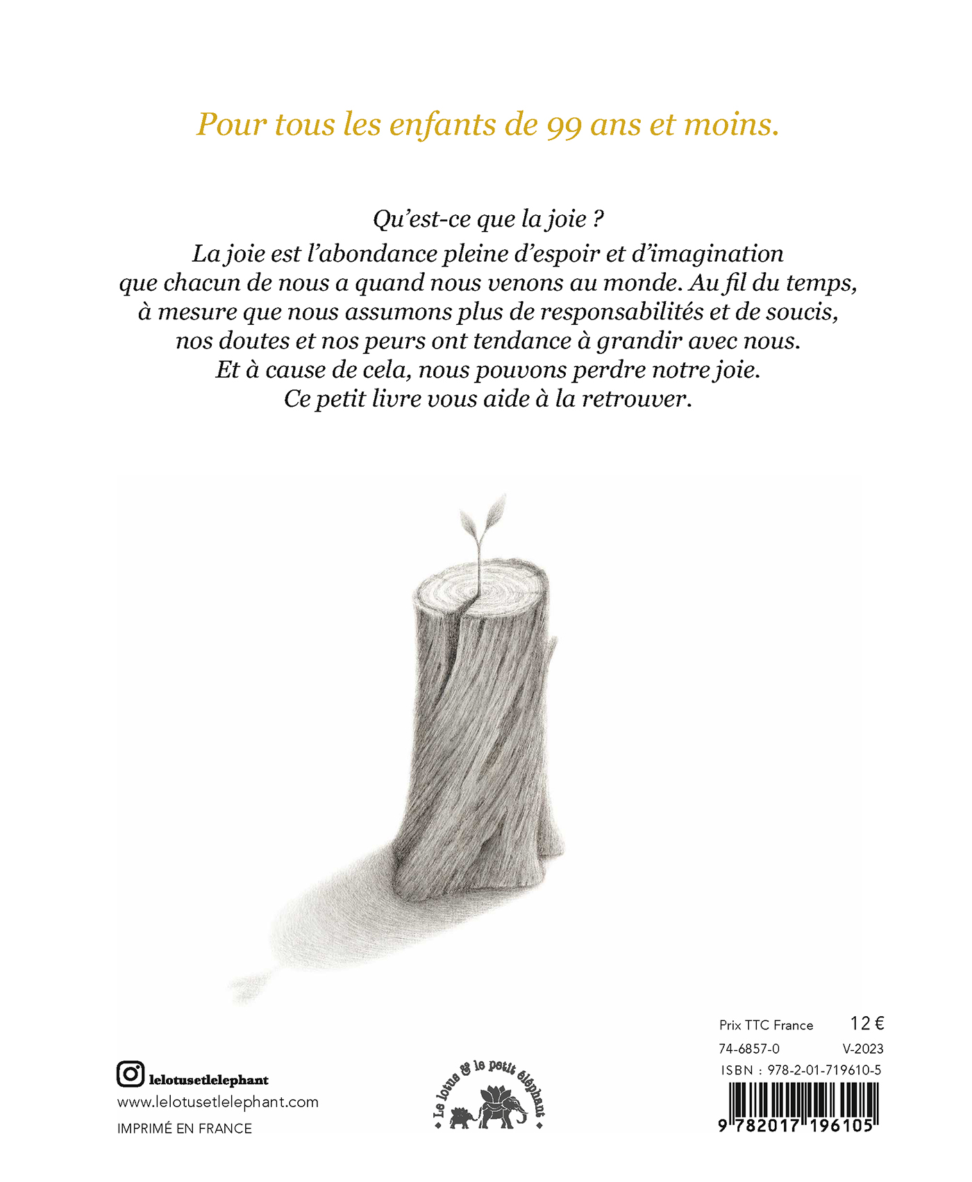 Suivre sa joie résumé