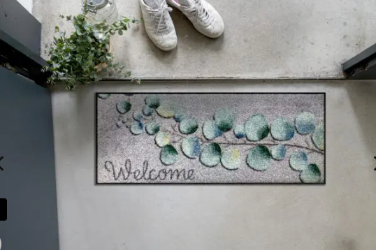 Eucalyptus