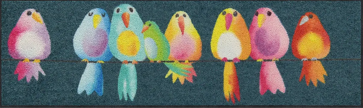 Rainbow birds
