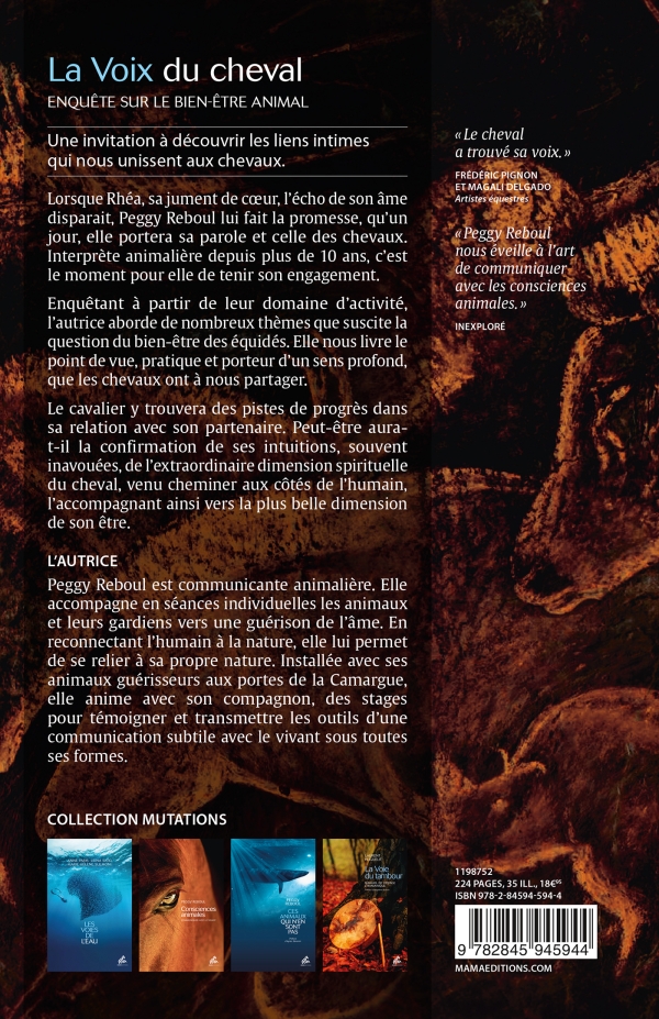 la voix du cheval resume