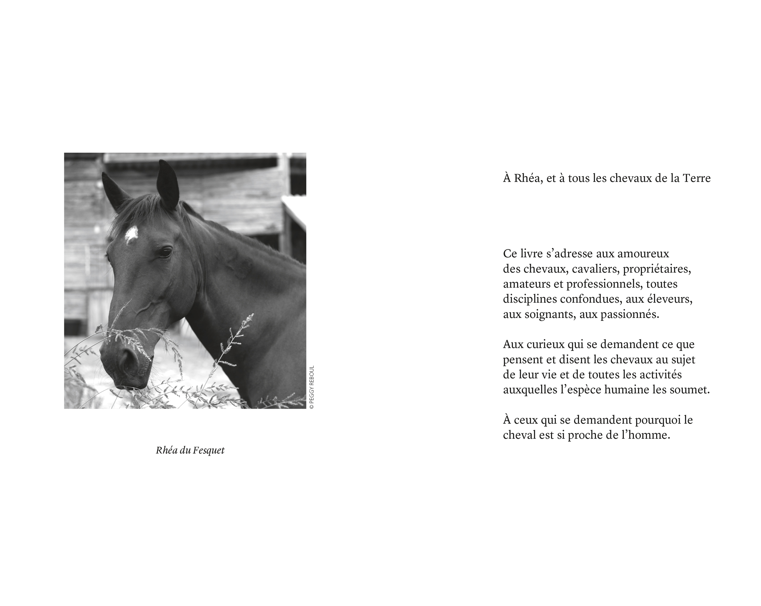 la voix du cheval page