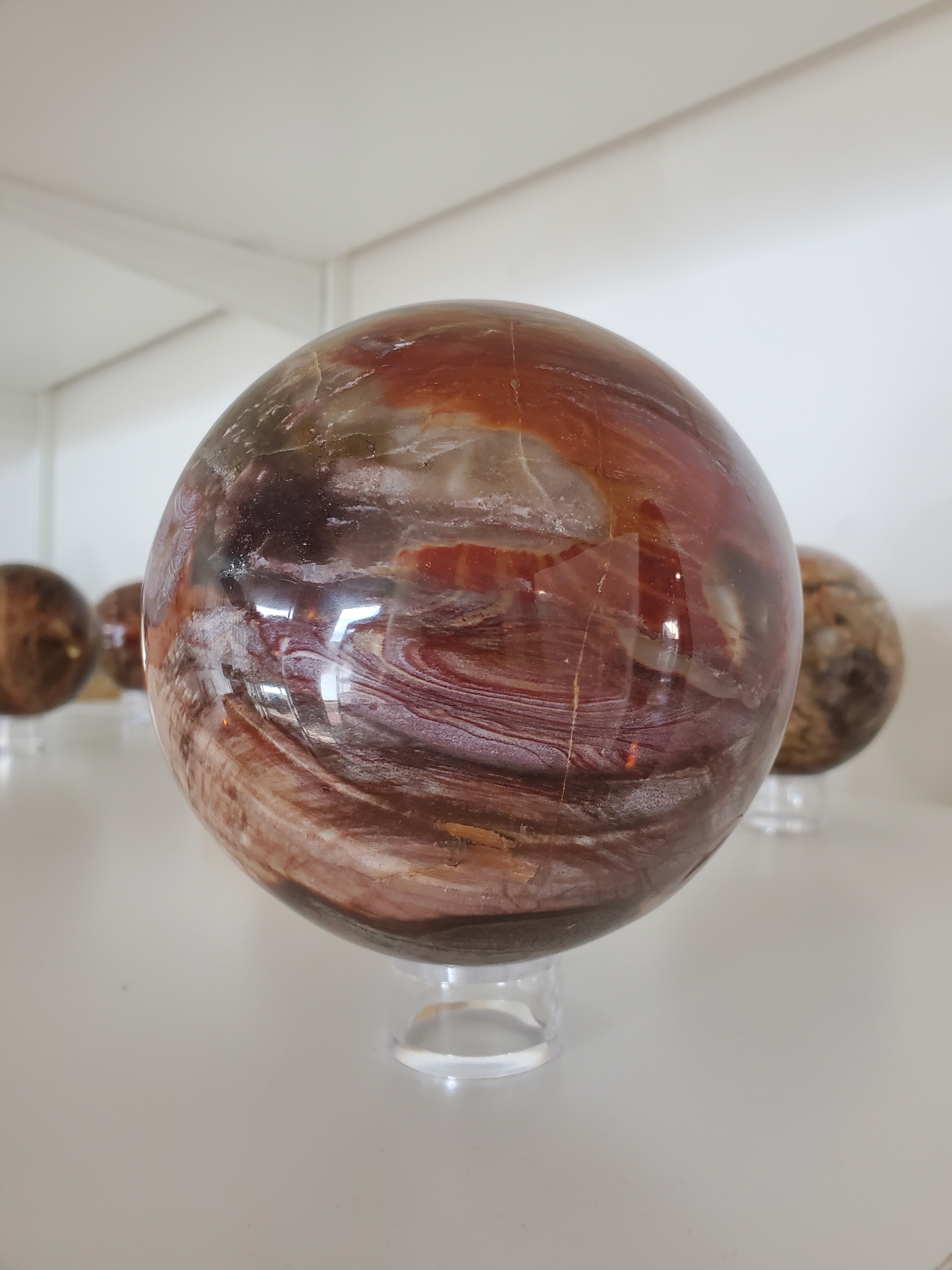 Sphère Bois fossilisé 2- 3774