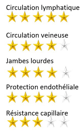 circuregul etoile