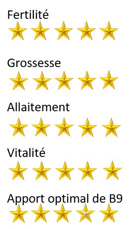 physiobase maternité etoile