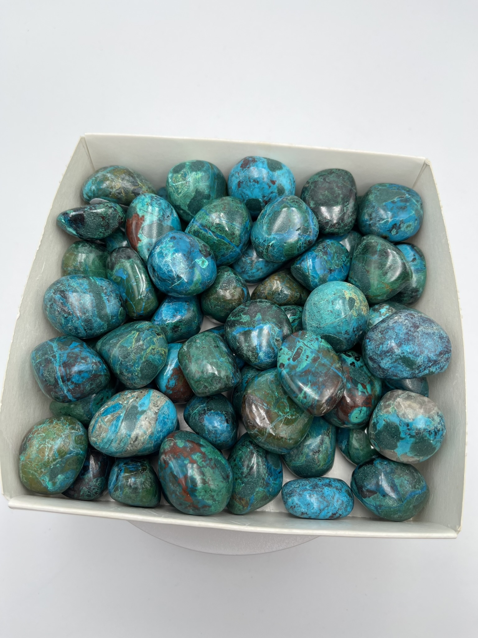 chrysocolle