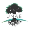 Unae